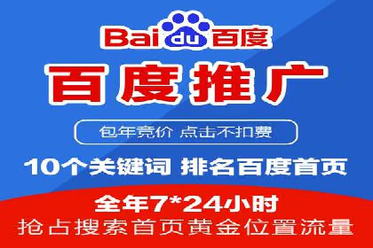 百度推广代运营公司：打造高效的网络营销团队